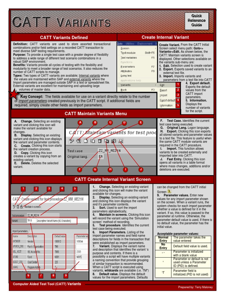 CATT Variants Quick Reference Guide | PDF | Microsoft Excel | Parameter ...
