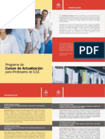 Programa de Actualizacion de Profesores 2010