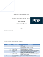 Estructura Desglose Del Trabajo