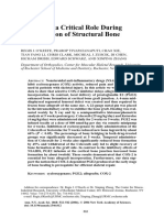 COX-2 Has A Critical Role During Incorporation of Structural Bone Allografts