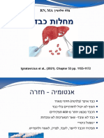 מחלות כבד