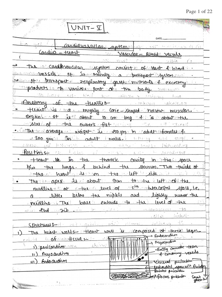 Unit 5 HAP 1 | PDF | Finance & Money Management | Technology & Engineering