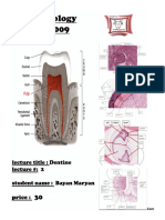 Dentine 2