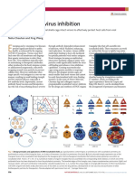 Nanocages For Virus Inhibition: News & Views News & Views