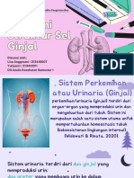 Anatomi Dan Struktur Sel Ginjal 