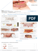 imagem intestinos - Pesquisa Google