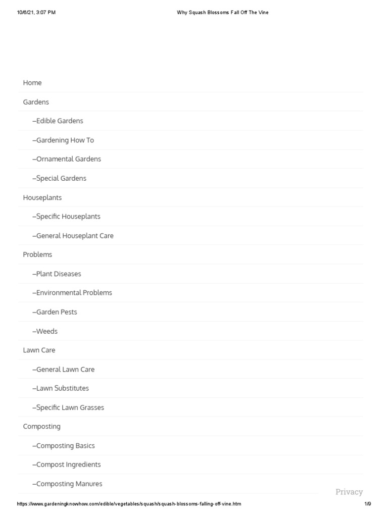 Why Squash Blossoms Fall Off The Vine PDF Flowers Cucurbita