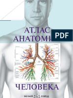 Надольская Н.В. (Ред.) - Атлас Анатомии Человека. Все Органы Человеческого Тела - 2015