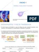 Amebas, flagelados y ciliados: enteroparásitos y vías de transmisión