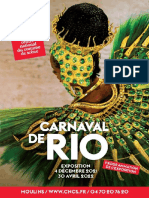 Rio Costume