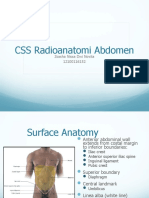 CSS Radioanatomi Abdomen 