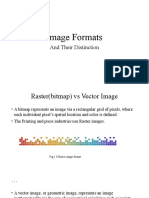 Image Formats and Their Distinction