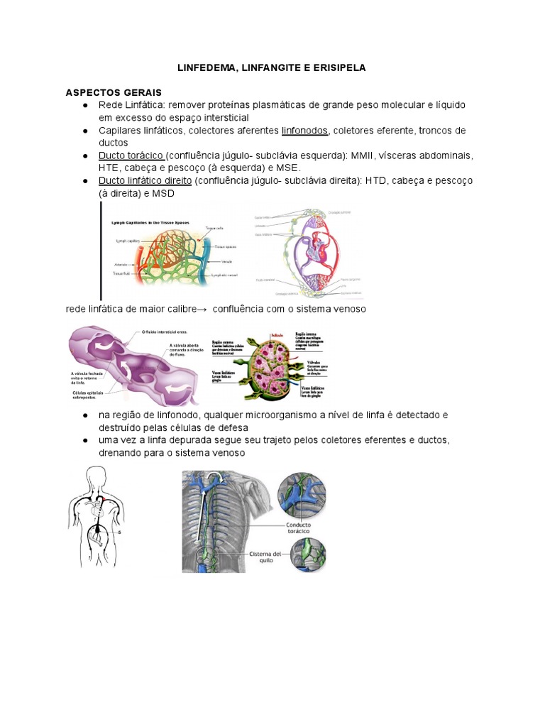 Linfedema, Linfangite e Erisipela | PDF | Sistema linfático | Linfa