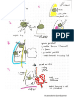 tnm cc pulmonar (1)