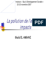 Pollution Impacts