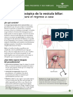 Laparoscopic Gallbladder Surgery Home Instructions Fact Sheet Spanish