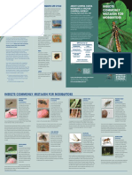 Mosquito Proboscis: The Anatomy of a Mosquito