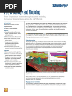 Petrel Geology & Modeling