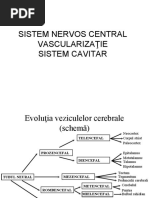 Sistem Nervos
