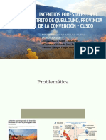 Incendios forestales en Quellouno-Cusco