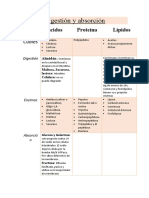 Digestión y Absorción Nutri Unr