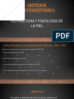 Sistema tegumentario: Estructura y fisiología de la piel