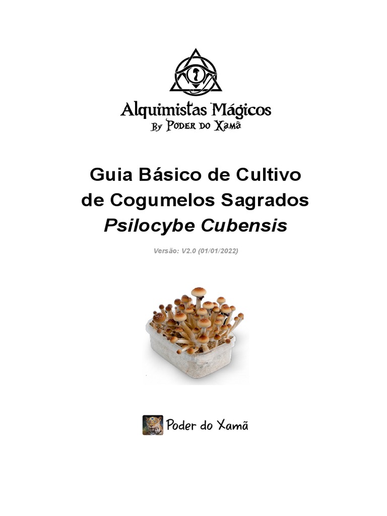 Guia Básico de Cultivo de Cogumelos Sagrados Psilocybe Cubensis - V2 ...