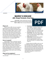 Marek'S Disease: (MD, Range Paralysis, Gray Eye)