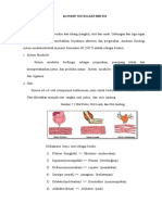 LP Osteoarthritis