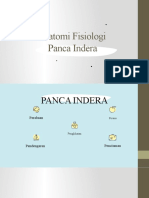 Anatomi Fisiologi Panca Indera