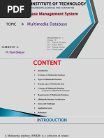 SY14 Multimedia Database