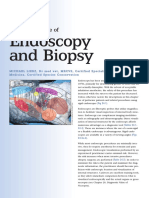 Endoscopy and Biopsy: Diagnostic Value of