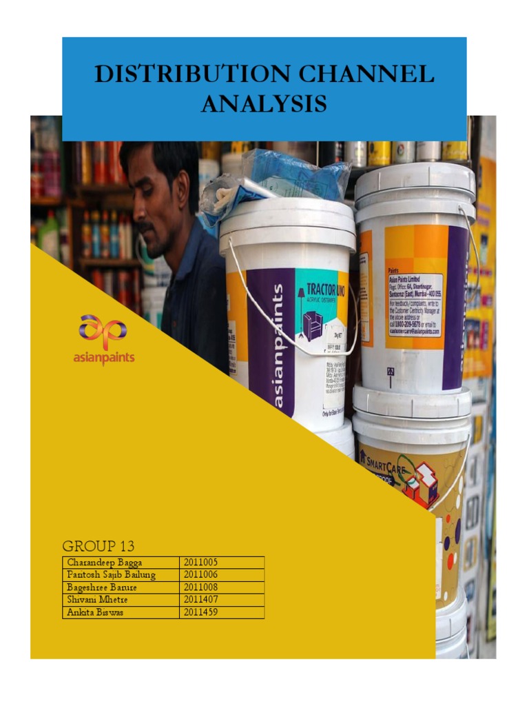 Asian Paints Distribution Channel Insights | PDF | Market Segmentation ...