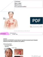 3. Afec+Üiuni Buloase