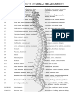 Spinal Cord and Related Diseases 2020