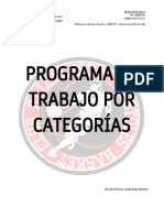 Programa de Trabajo Por Categorías