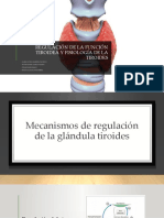 Regulación de La Función Tiroidea y Fisiología de