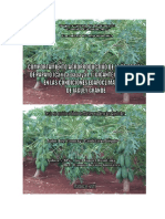 Comportamiento agroproductivo de la seleccion de papayo (Yannerys Candelario Angulo)