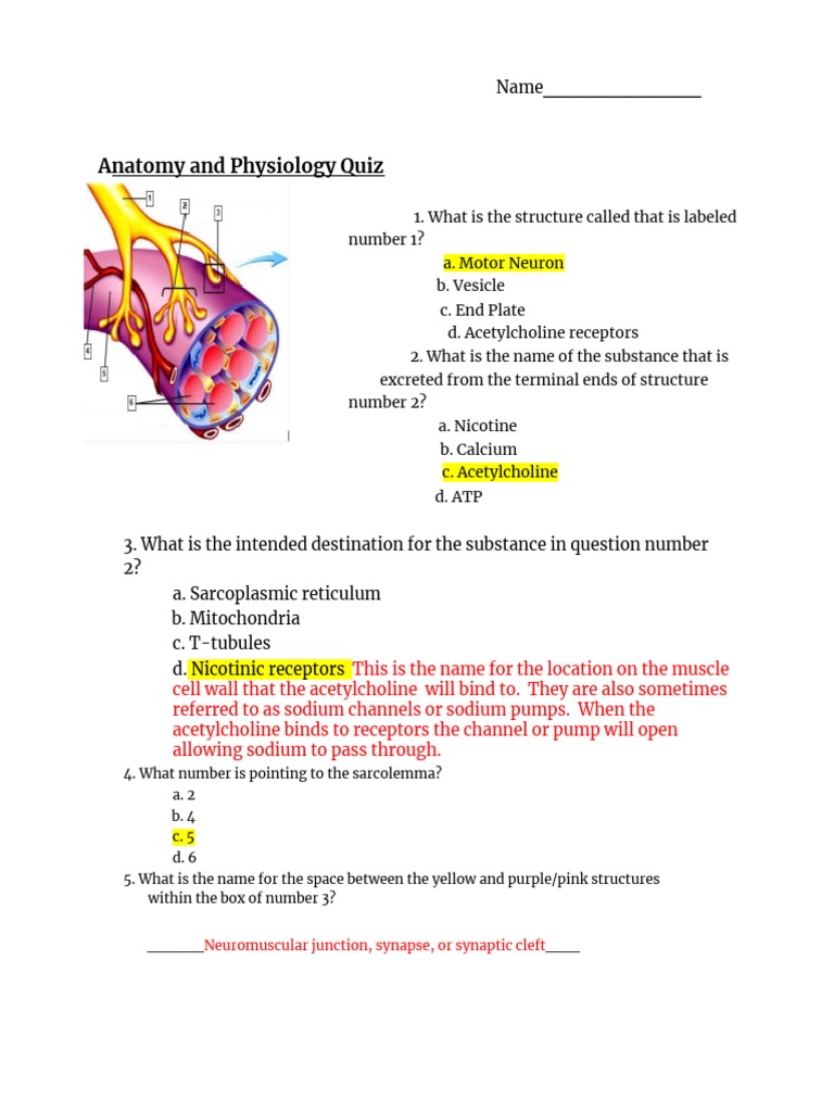 Science Olympiad Practice TestCopy of Quiz Answers PDF Dance