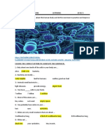 DecisionList (1) (2)