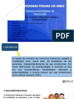 PPT TEORIA iclusion