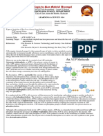 ATP-ADP Cycle