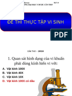 Đề Thi Thực Tập Vi Sinh