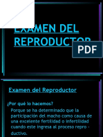 5 Examen Del Reproductor
