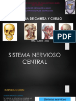 Sistema Nervioso Central (Examen)