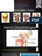 12. Nervio Glosofaringeo (EXAMEN)