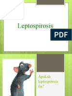 Penyuluhan Leptospirosis