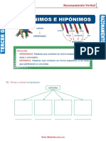 Hiperónimos e Hipónimos