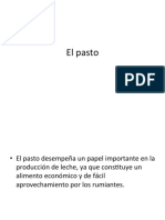 El Pasto