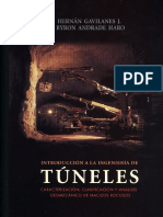 Libro Ingenieria de Tuneles - Asociacion